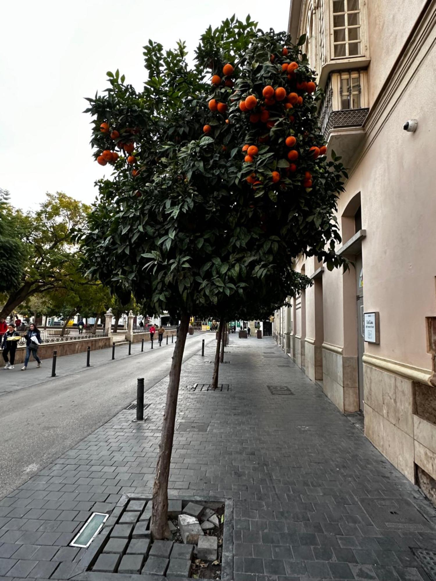 Appartement Malaga'S Secret Extérieur photo